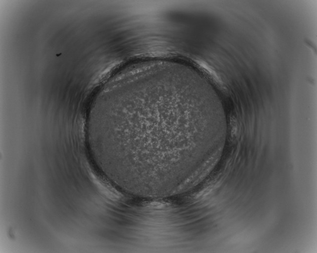 X0000097460542200803071633