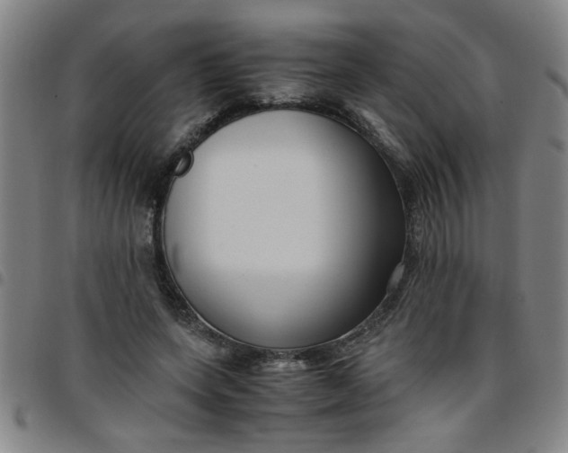 X0000097460543200803071633