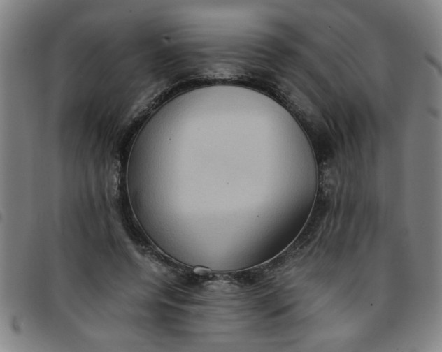 X0000097460544200803071633