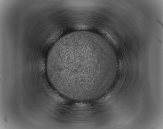 X0000097460545200803071633