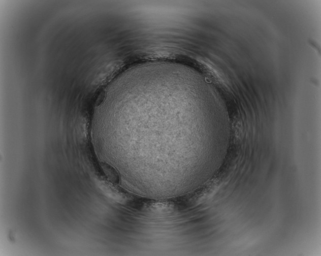 X0000097460546200803071633