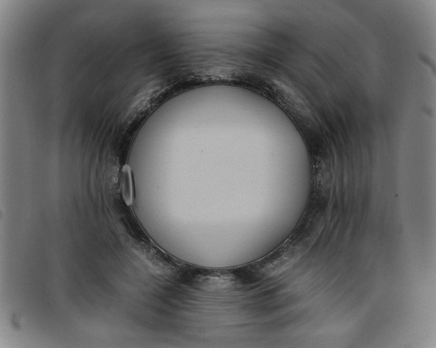 X0000097460548200803071633