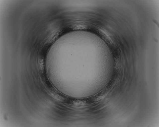 X0000097460549200803071633