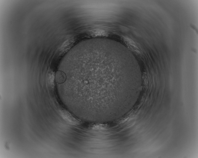 X0000097460550200803071633