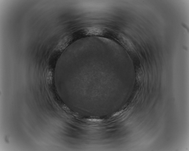 X0000097460551200803071633