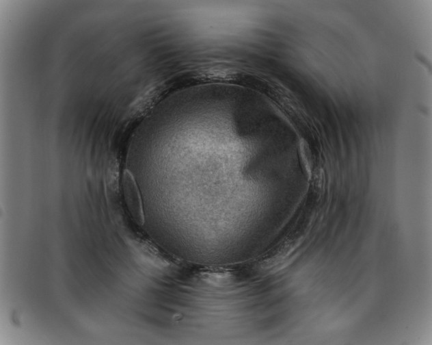 X0000097460552200803071633