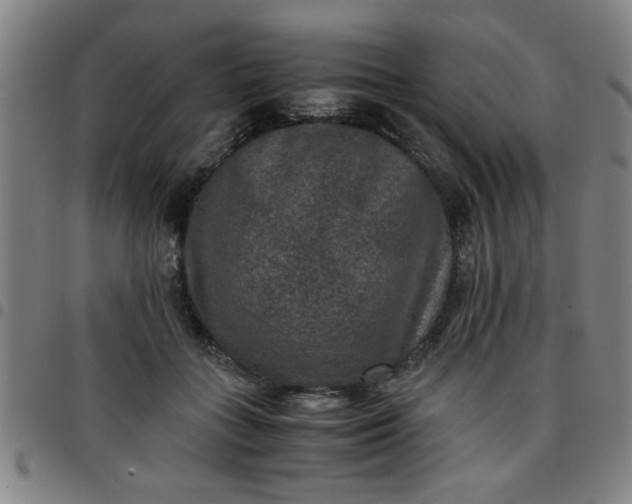 X0000097460555200803071633