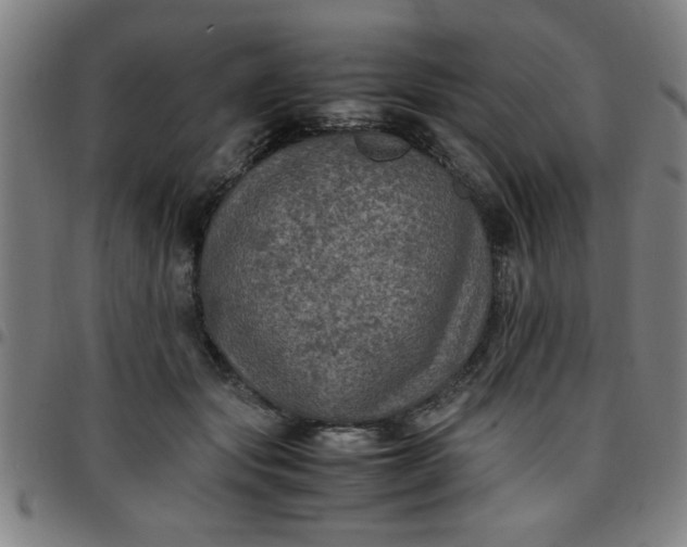 X0000097460557200803071633