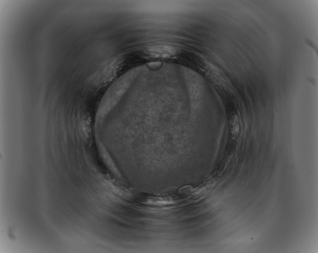 X0000097460559200803071634