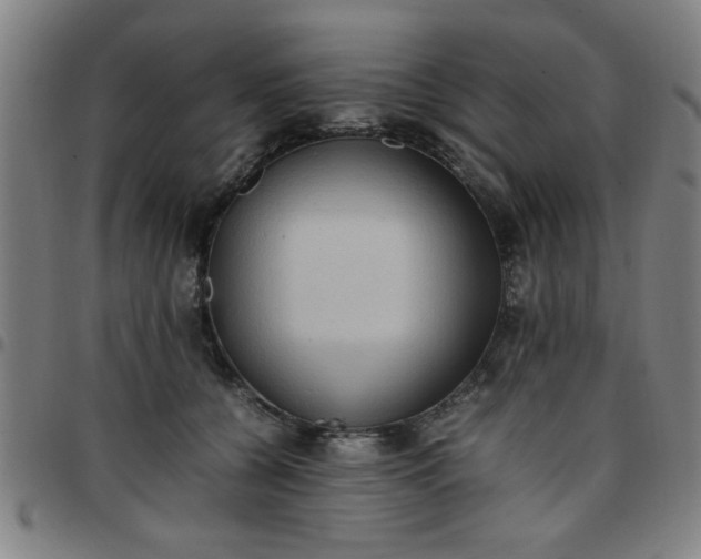 X0000097460560200803071634