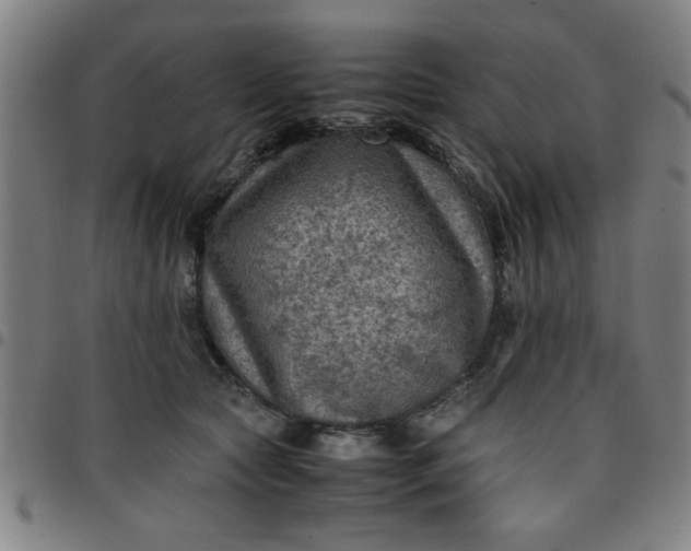 X0000097460561200803071634