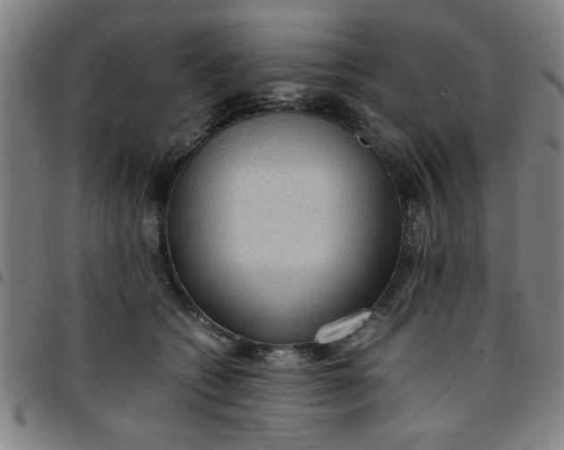 X0000097460562200803071634