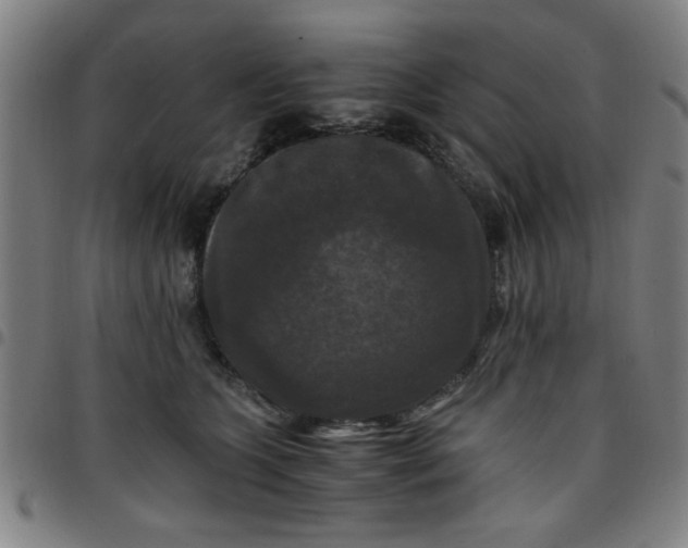 X0000097460563200803071634