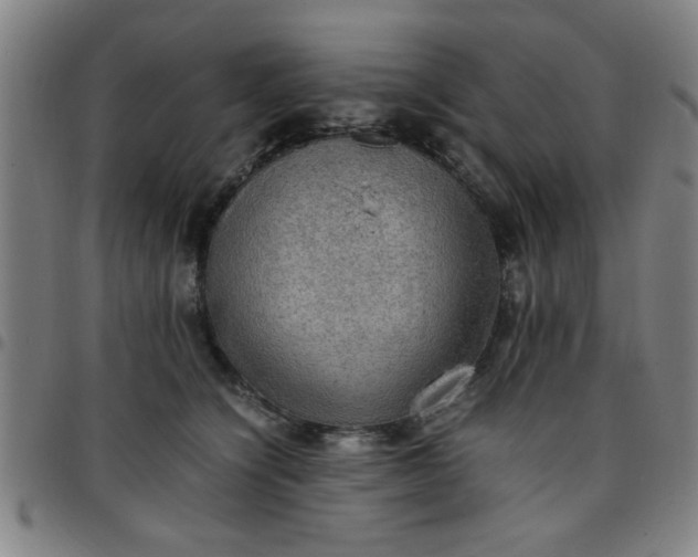 X0000097460564200803071634