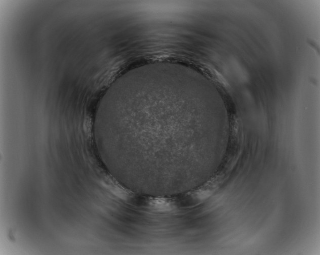 X0000097460565200803071634