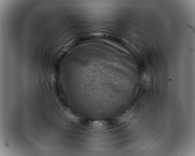 X0000097460566200803071634