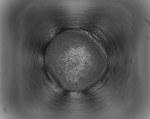 X0000097460568200803071634