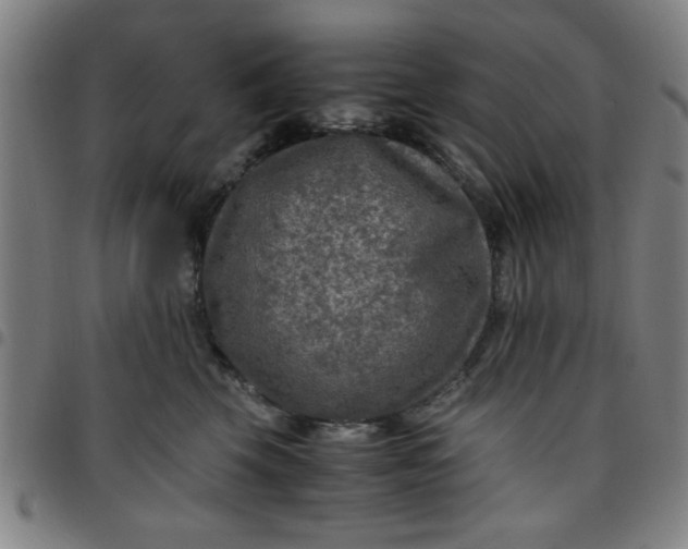 X0000097460569200803071634