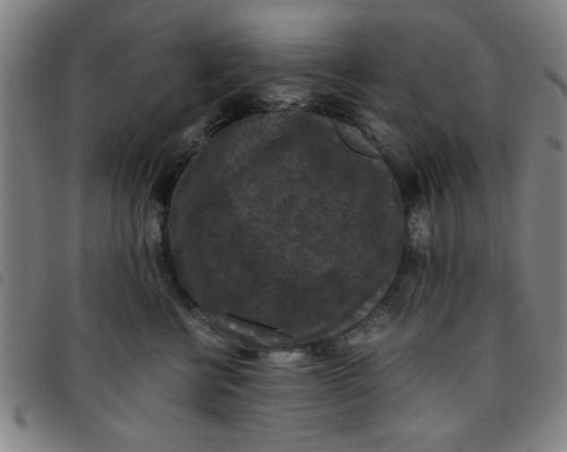 X0000097460570200803071634