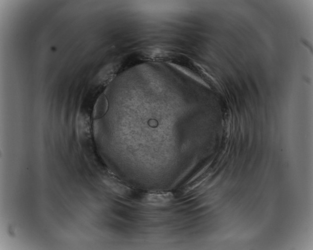 X0000097460571200803071634