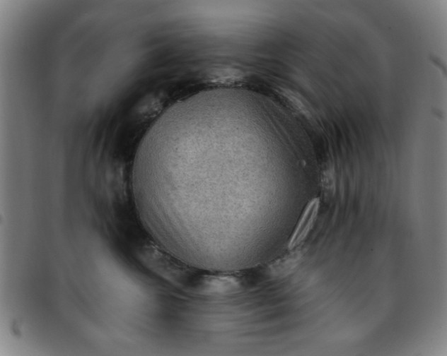 X0000097460572200803071634