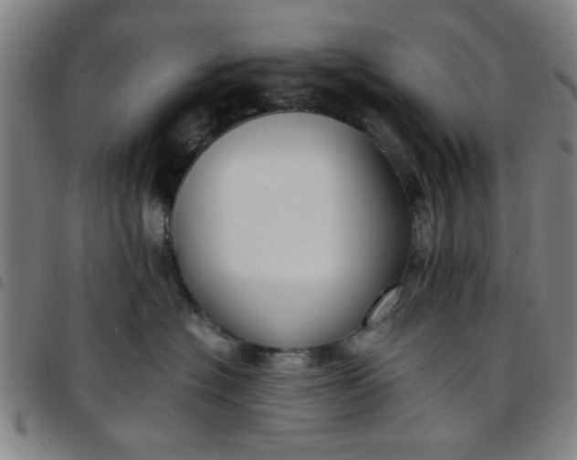 X0000097460574200803071634