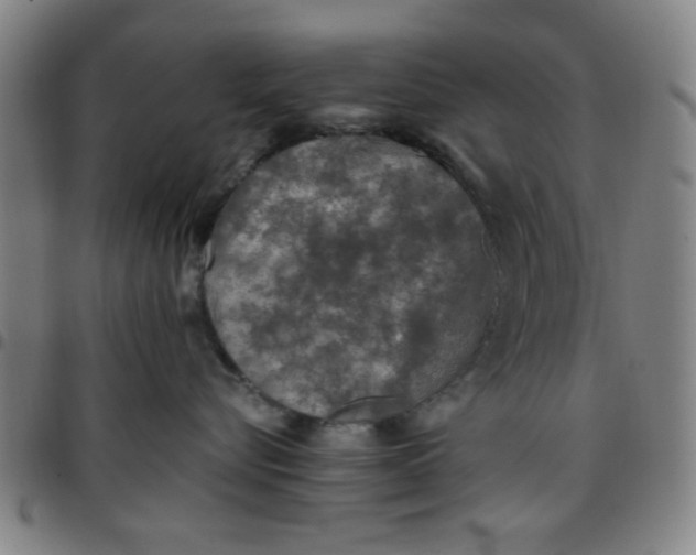 X0000097460576200803071634