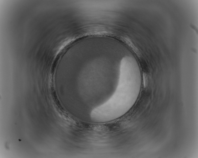 X0000097460579200803071633