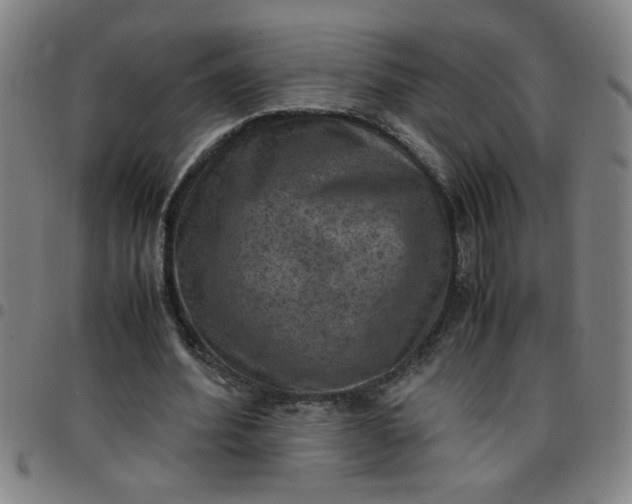 X0000097460580200803071633