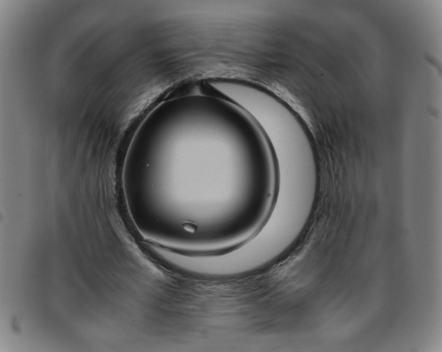 X0000097460581200803071633