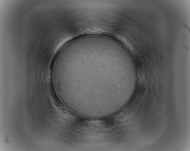 X0000097460583200803071633