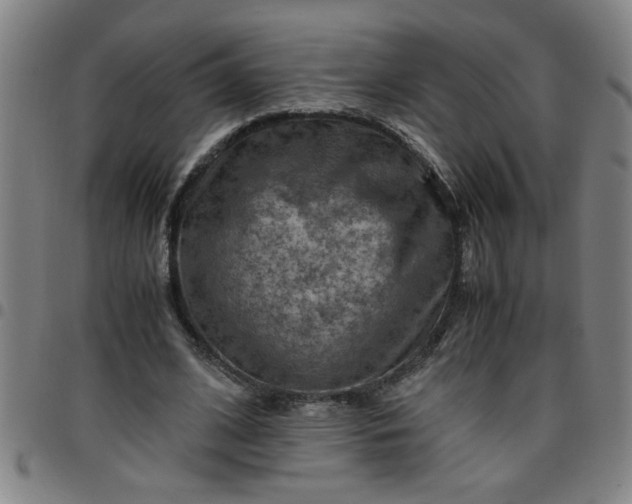 X0000097460584200803071633