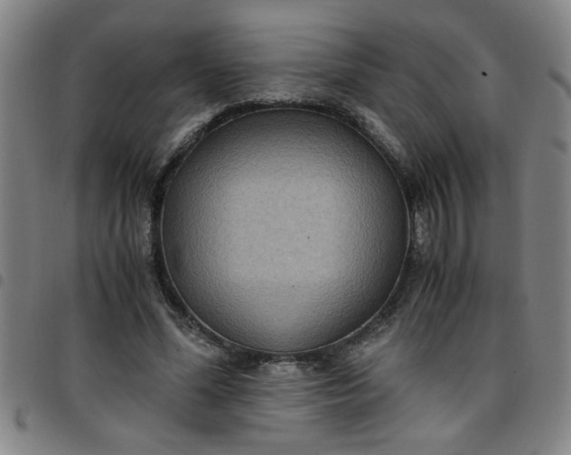 X0000097460588200803071633