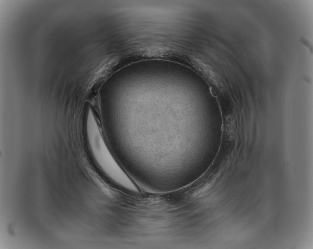 X0000097460589200803071633