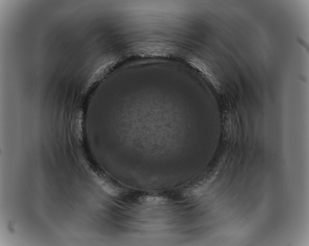 X0000097460590200803071633