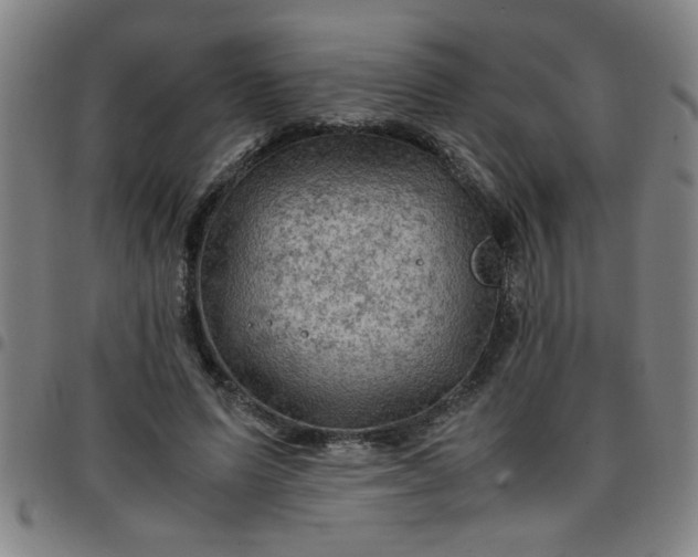 X0000097460591200803071633