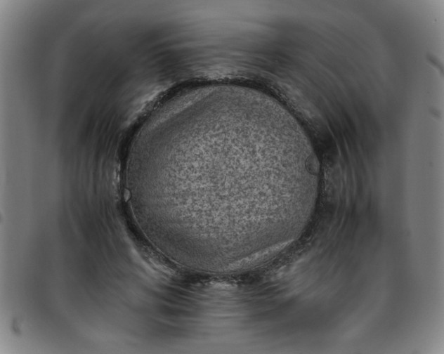 X0000097460592200803071633