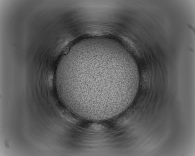 X0000097460596200803071633