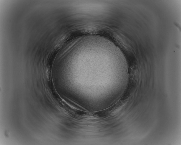 X0000097460597200803071633