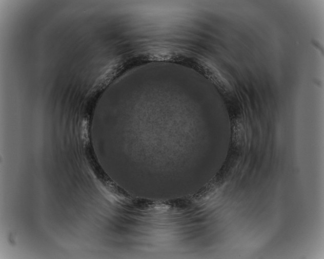 X0000097460598200803071633