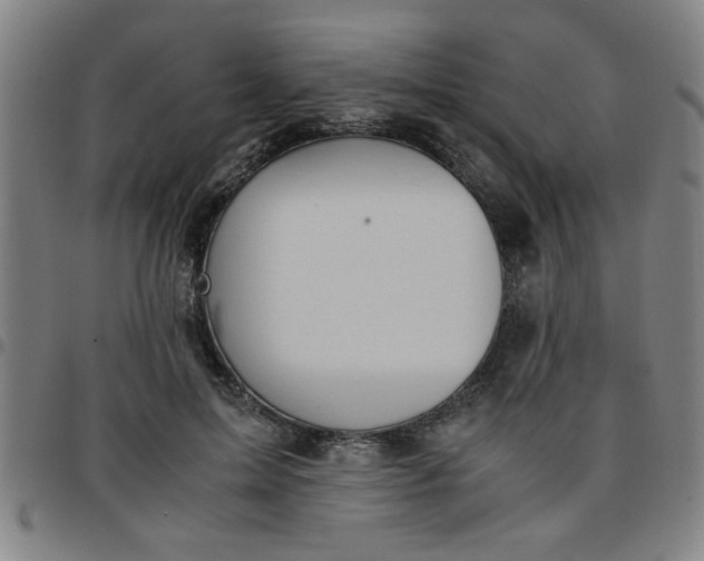 X0000097460599200803071633