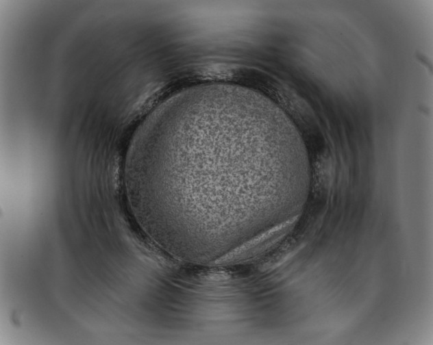 X0000097460600200803071633