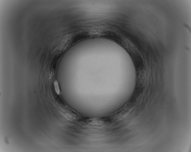 X0000097460601200803071633