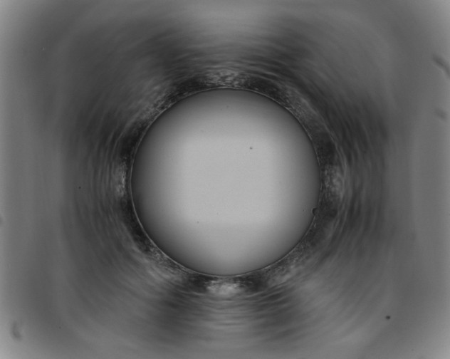 X0000097460602200803071633