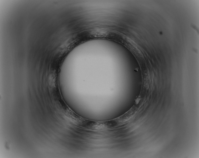 X0000097460604200803071633