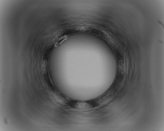 X0000097460605200803071633