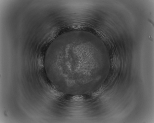 X0000097460606200803071633