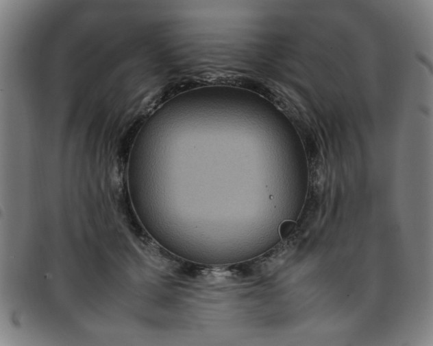 X0000097460607200803071633