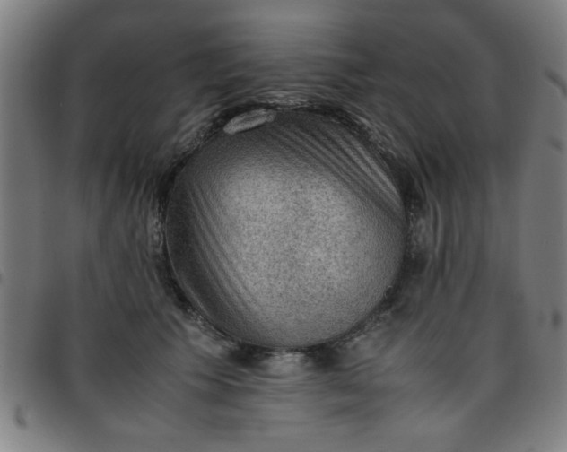 X0000097460609200803071633