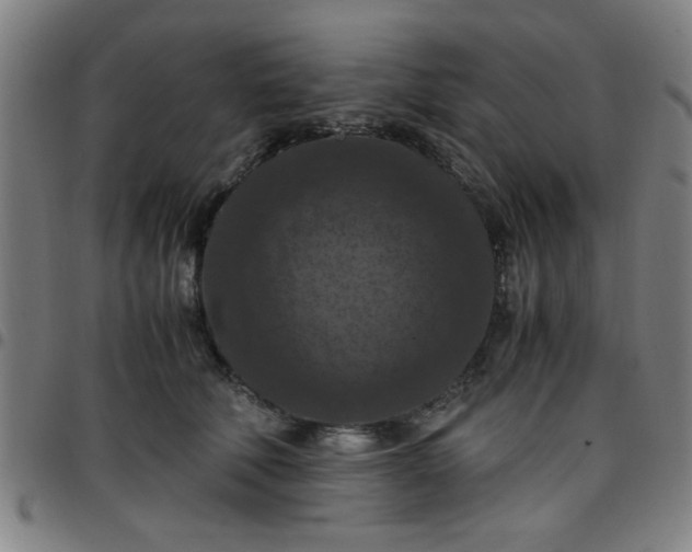 X0000097460610200803071633